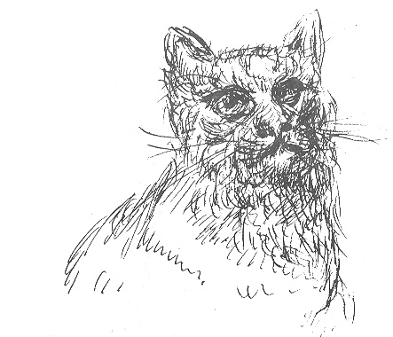 studies-of-cats-1.jpg