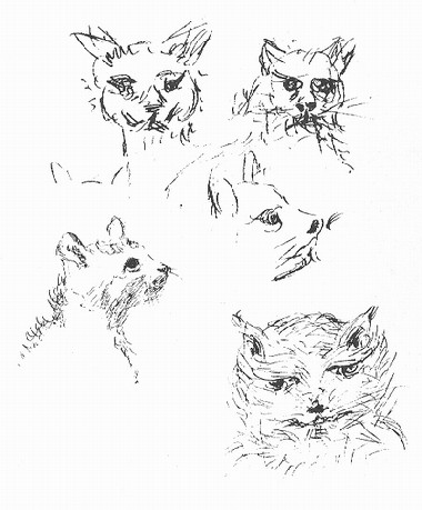 studies-of-cats-2.jpg