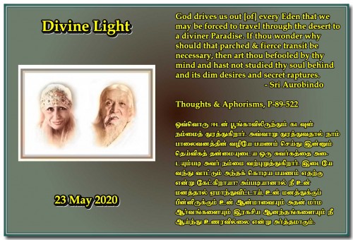 DIVINE-LIGHT-23-MAY-2020.jpg