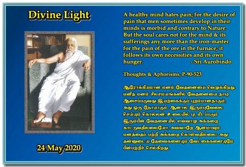 DIVINE-LIGHT-24-MAY-2020.jpg
