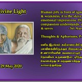 DIVINE-LIGHT-29-MAY-2020
