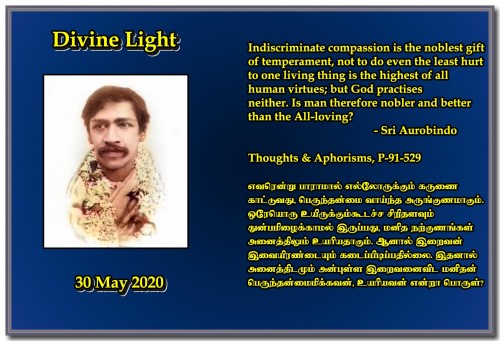DIVINE LIGHT 30 MAY 2020