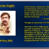 DIVINE-LIGHT-30-MAY-2020