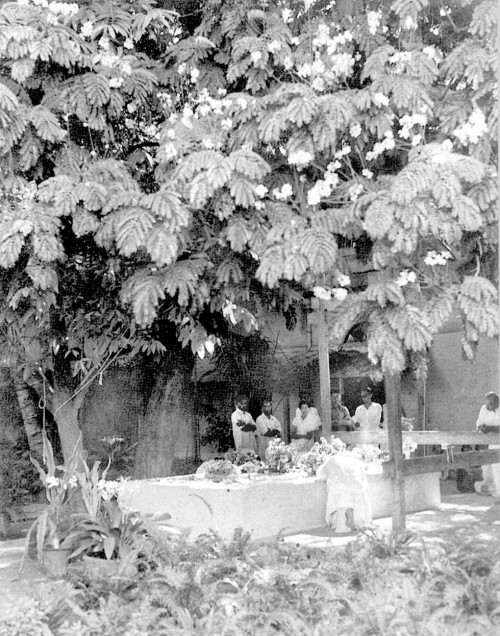 South-West-View-Sri-Aurobindo-Ashram-and-Samadhj.jpg