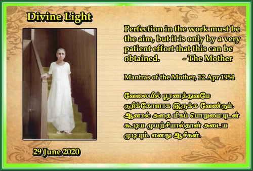 DIVINE-LIGHT-29-JUNE-2020.jpg