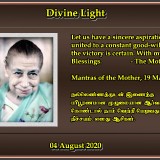 DIVINE-LIGHT-04-AUGUST-2020