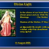DIVINE-LIGHT-11-AUGUST-2020