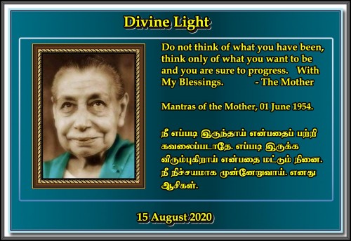 DIVINE-LIGHT-15-AUGUST-2020.jpg