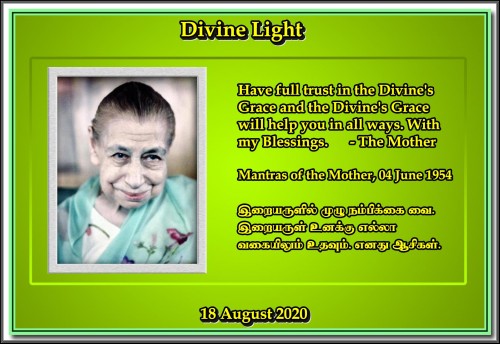 DIVINE LIGHT 18 AUGUST 2020