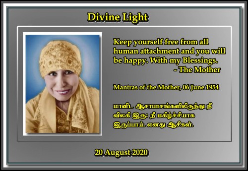 DIVINE LIGHT 20 AUGUST 2020