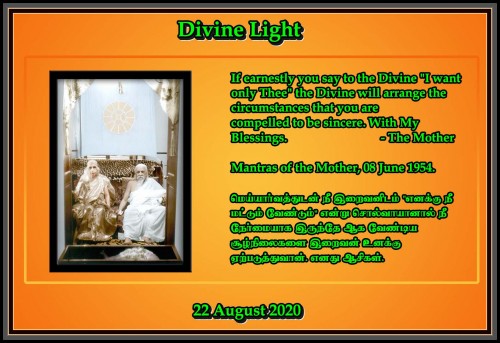 DIVINE LIGHT 22 AUGUST 2020