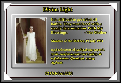 DIVINE-LIGHT-02-OCTOBER-2020.jpg
