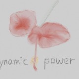 Divine-Flowers-against-Missiles-294