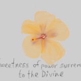 Divine-Flowers-against-Missiles-882