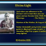 DIVINE-LIGHT-20-OCTOBER-2020