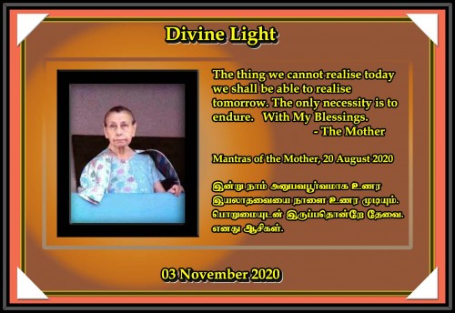 DIVINE-LIGHT-03-NOVEMBER-2020.jpg