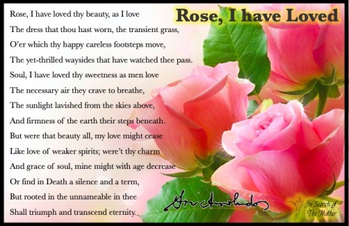 Rose-I-have-loved.jpg