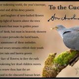 To-the-cuckoo