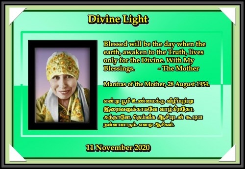 DIVINE LIGHT 11 NOVEMBER 2020