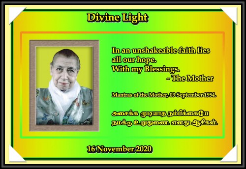 DIVINE-LIGHT-16-NOVEMBER-2020.jpg