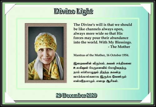 DIVINE-LIGHT-29-DECEMBER-2020.jpg