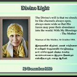 DIVINE-LIGHT-29-DECEMBER-2020