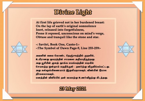 DIVINE LIGHT 23 MAY 2021
