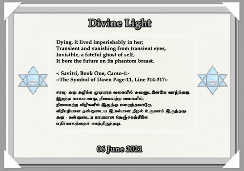 DIVINE-LIGHT-06-JUNE-2021.jpg